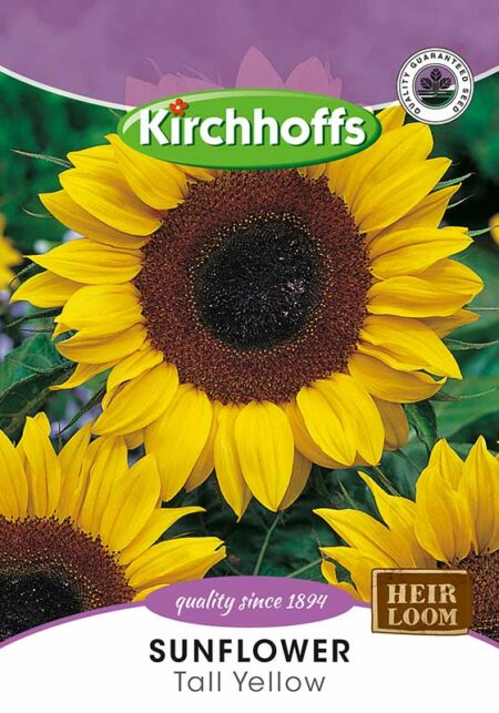 Sunflower Tall Yellow