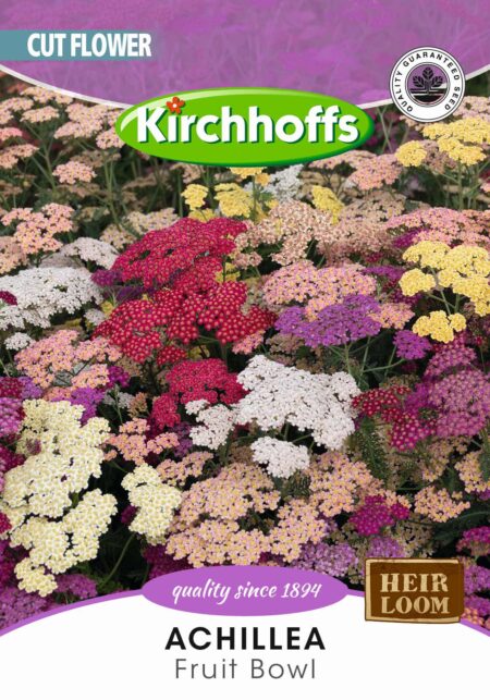 Achillea Fruit Bowl Mix