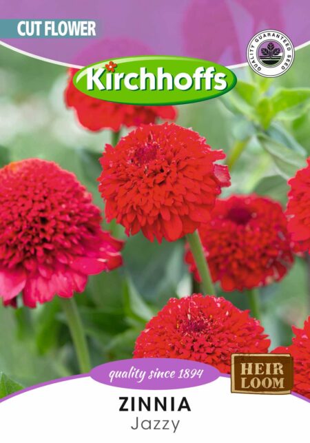 ZINNIA JAZZY MIXED