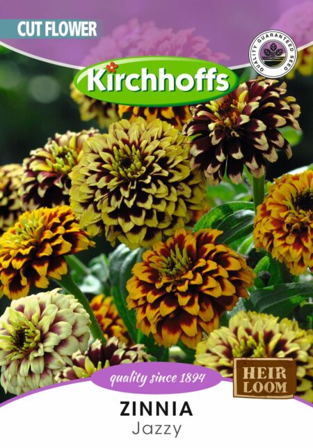 ZINNIA JAZZY MIXED