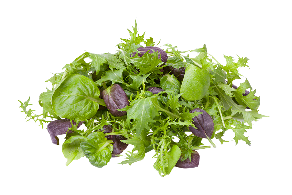 Alice Coetzee – 19-06-2025-gardening – microgreens- photo 4: ‘Oriental Mix’ microgreens