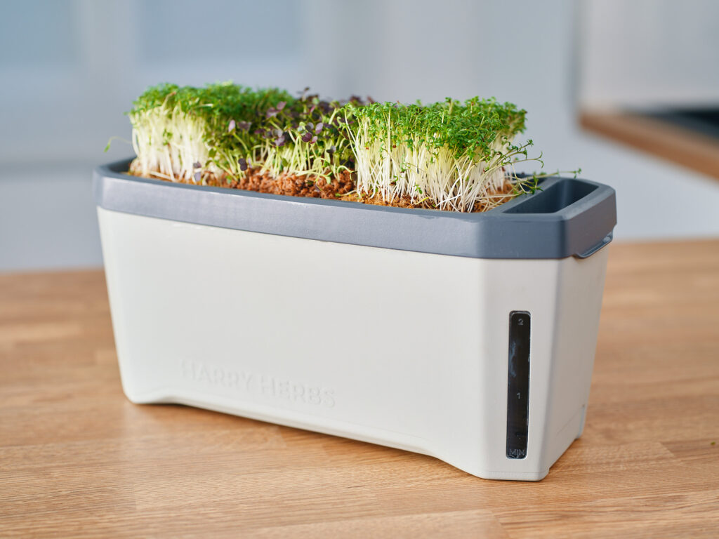 Alice Coetzee – 19-06-2025-gardening – microgreens- photo 6: Gusta Garden ‘Harry Herbs’
soilless planter.